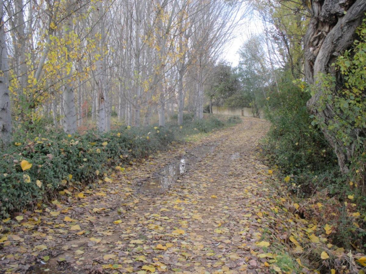 Villa Boleta A 5 Minutos De Leon, Casa Con Jardin San Andrés del Rabanedo Esterno foto