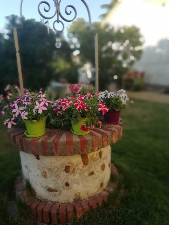 Villa Boleta A 5 Minutos De Leon, Casa Con Jardin San Andrés del Rabanedo Esterno foto